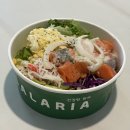 이문동 맛집 샐러리아 이문외대점 동대문 샐러드 후기
