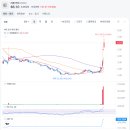 리본(Reborn) 이미지