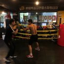 Bee 복싱짐 이미지