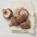 다양한 버섯을 활용한 건강한 요리 이미지