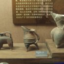 황도dog