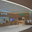 캣플 동탄점 | 동탄 라크몽 아이들과 가기 좋은 곳 &lt;캣플 동탄점&gt; 내돈내산 후기