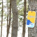블루로드 네이버블로그