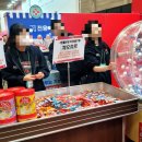 제주 알모 | 부산 36th 궁디팡팡캣페스타 고양이축제 후기!