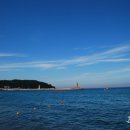 전촌솔밭해수욕장 이미지