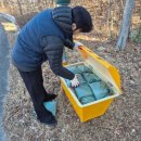 토함산자연휴양림 이미지