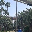 제주 서귀포 벨루아 이미지