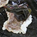 낙지대감 이미지