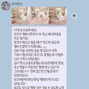 더멍멍 충주점 이미지