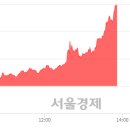 참메딕스 이미지