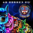 스타일 퍼피 이미지