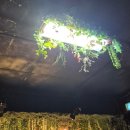 박시환 단독라이브 콘서트 | [260214] 러블리즈 정예인 단독 콘서트 숲세권 라이브 카렌듈라(Calendula) 후기