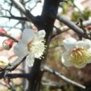 서로 이미지
