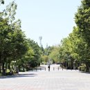 익산애견테마파크 이미지