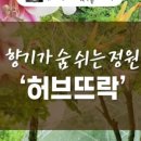화순허브뜨락 네이버블로그