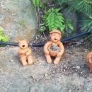 서영농장 이미지