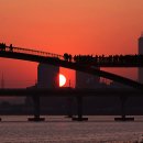 선유교 Daum카페