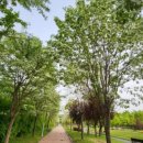 강당말공원 이미지