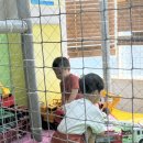 연세키즈앤틴즈치과의원 이미지