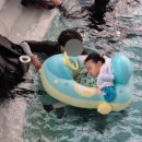 도고휴펜션 | [아산,예산] 250301~02