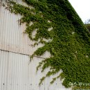 해뜨는 바다펜션 이미지