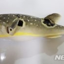 황해슈퍼 이미지