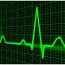 유박의원 이미지