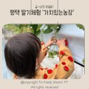 명행농장 | 평택 가치있는농장 아이랑 딸기따기, 유아 경운기 전동차 체험 후기