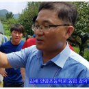 안명초등학교 이미지