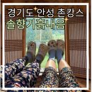 솔향기 | 경기도 안성 여행 찐 리얼 황토 흙집 촌캉스 펜션 솔향기흙내음 후기