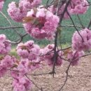 관동로 25(장유3동행정복지센터) 이미지