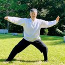 내포진식태극권