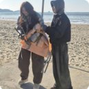 D01039 네이버블로그
