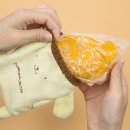 필라테스 귤 이미지