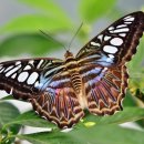 강촌민박 이미지