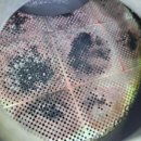 수원 카닥터 이미지