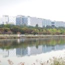 미사리 - 서구 | 미사리