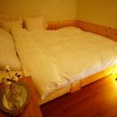 제주안에서 이미지