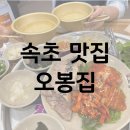 오봉도시락강원속초점 | 강원도 속초 찐 맛집 : 오봉집 강원속초점 내돈내산으로 다녀온 솔직 후기