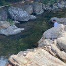 통안교 네이버블로그