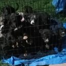 레이크모텔 이미지