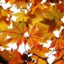 목포시문화예술회관 이미지