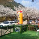 장자집 국밥 이미지