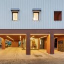 여행하는 나무 이미지