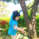 꽃무지어린이집 이미지