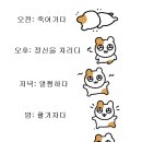 하늘빛안과의원 이미지