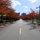 한양대기숙사(행복관) 이미지