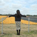 소화목장 이미지