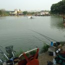 남촌낚시터 이미지