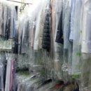 정자세탁소 이미지